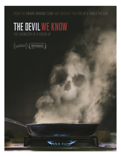 Poster for THE DEVIL WE KNOW