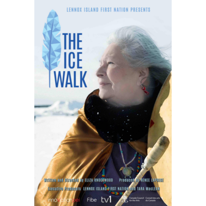 Poster for THE ICE WALK